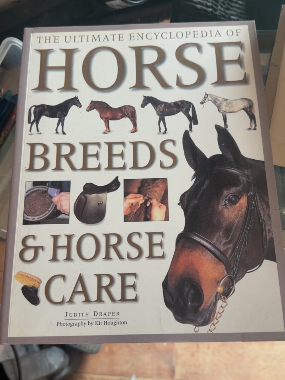 Horse Book!